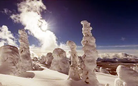 Snow ghosts under a blue sky